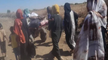 نساء الجزيرة في السودان: ضحايا الحرب ووصمة المجتمع